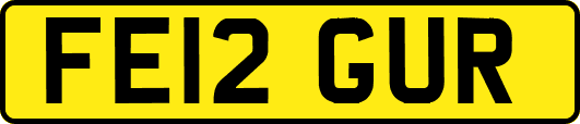 FE12GUR