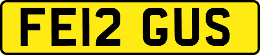 FE12GUS