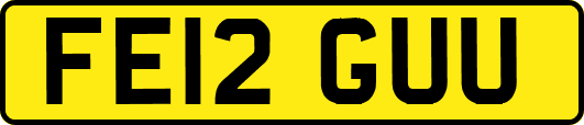 FE12GUU