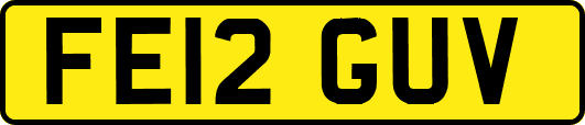 FE12GUV