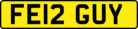 FE12GUY