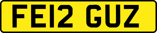 FE12GUZ