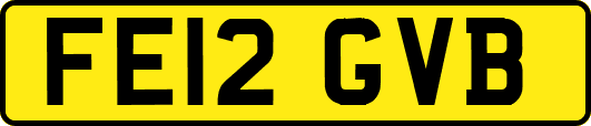 FE12GVB