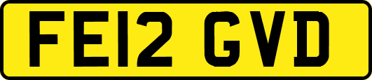 FE12GVD