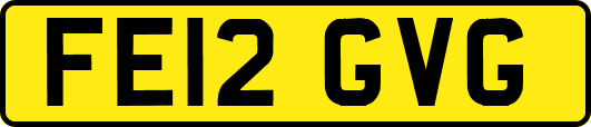 FE12GVG