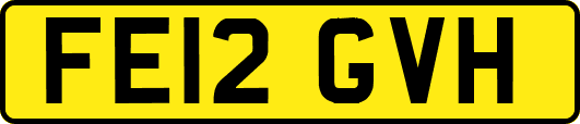 FE12GVH