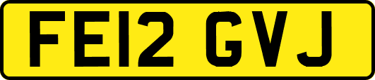 FE12GVJ