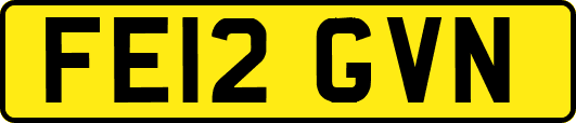 FE12GVN