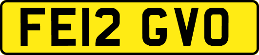 FE12GVO