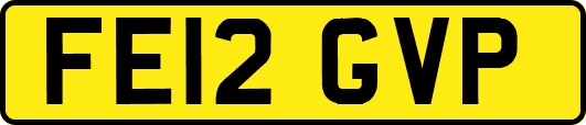 FE12GVP