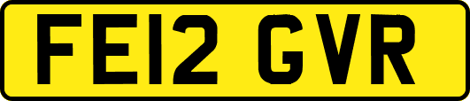 FE12GVR