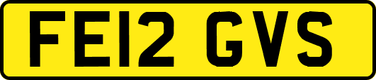 FE12GVS