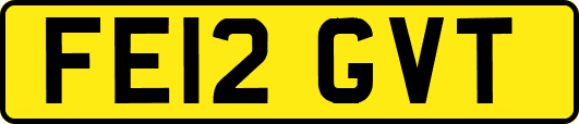 FE12GVT