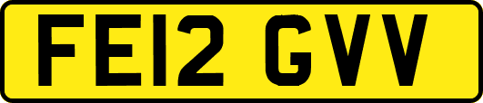 FE12GVV