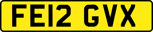FE12GVX
