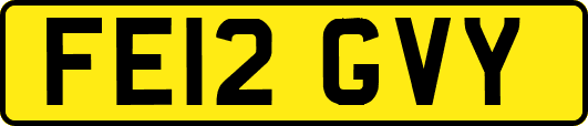 FE12GVY