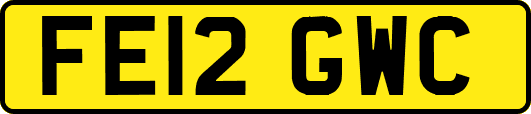 FE12GWC