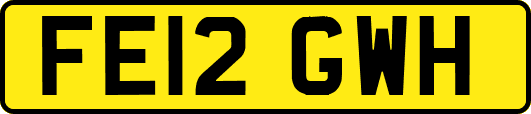 FE12GWH