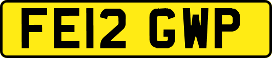 FE12GWP