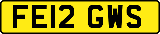 FE12GWS