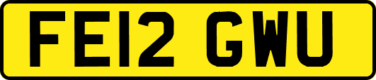 FE12GWU