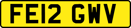 FE12GWV