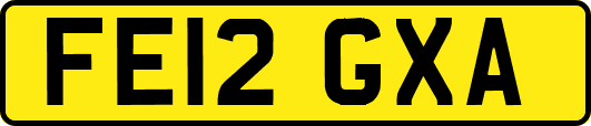 FE12GXA