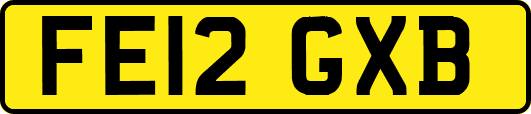 FE12GXB