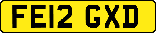FE12GXD