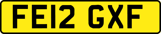 FE12GXF