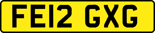 FE12GXG