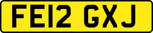 FE12GXJ
