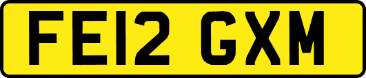 FE12GXM