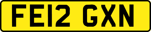 FE12GXN