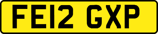 FE12GXP