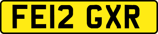 FE12GXR