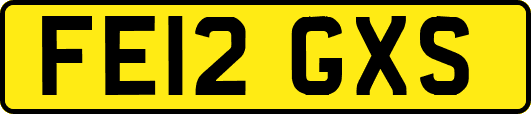 FE12GXS