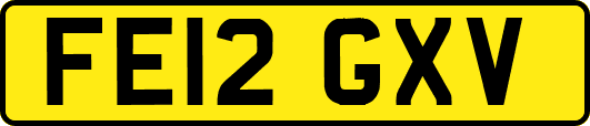 FE12GXV