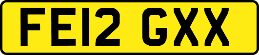 FE12GXX