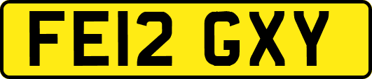FE12GXY