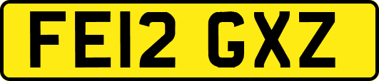 FE12GXZ