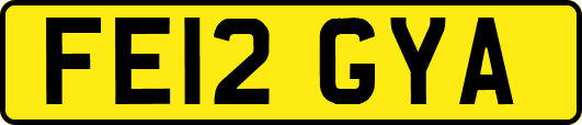 FE12GYA