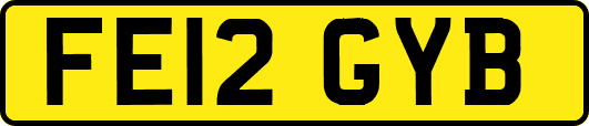 FE12GYB