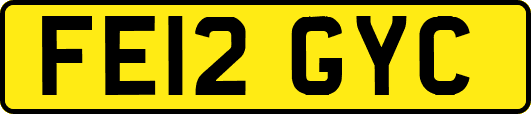 FE12GYC