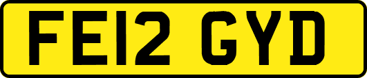 FE12GYD