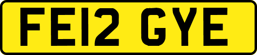 FE12GYE