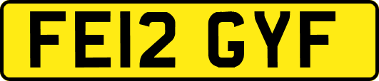 FE12GYF