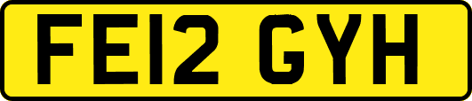 FE12GYH