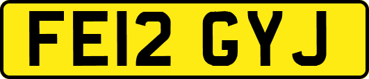 FE12GYJ