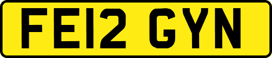 FE12GYN